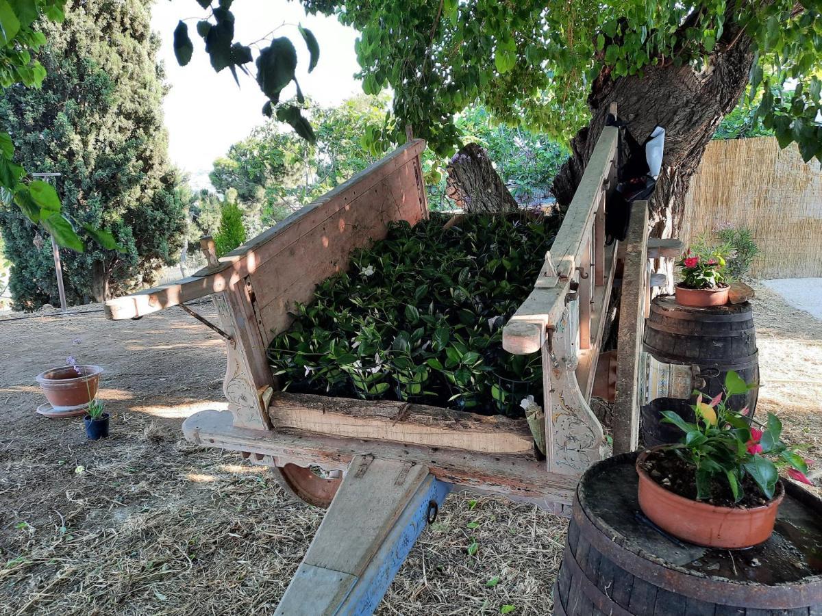 Tenuta Coppa Zuccari Città Sant'Angelo Exterior foto