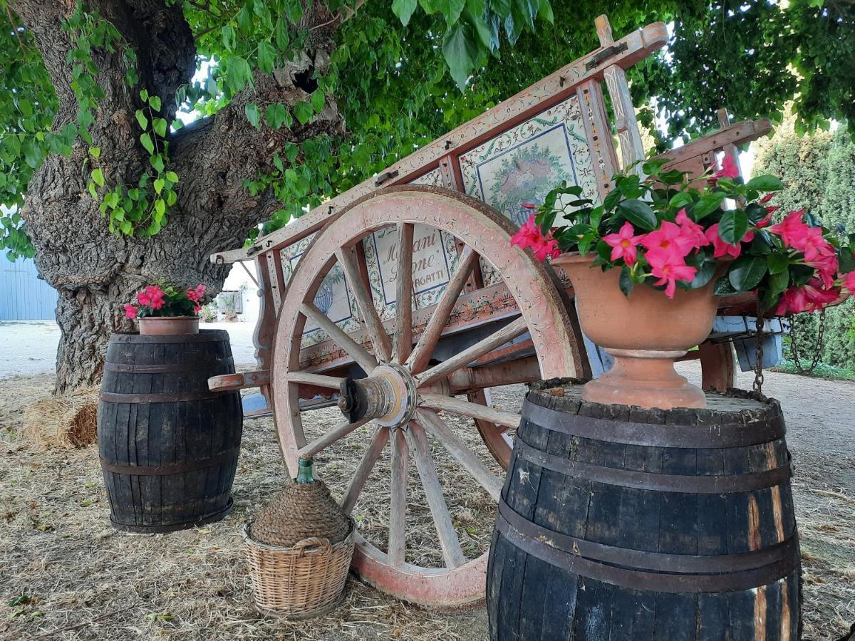 Tenuta Coppa Zuccari Città Sant'Angelo Exterior foto