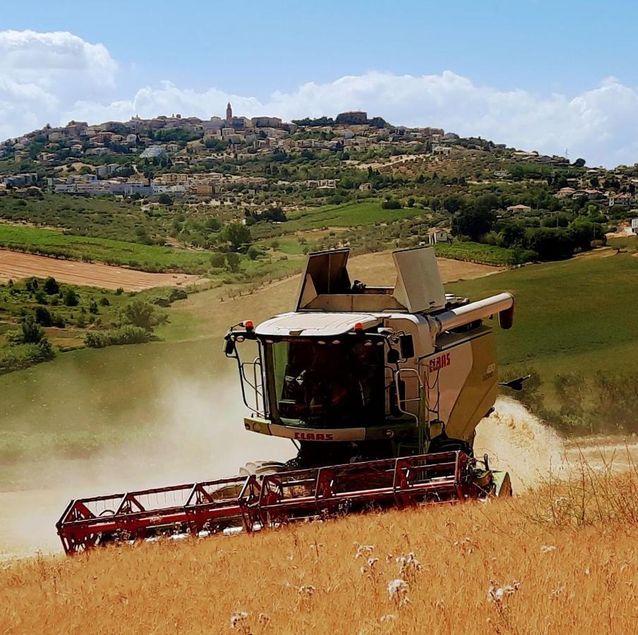 Tenuta Coppa Zuccari Città Sant'Angelo Exterior foto