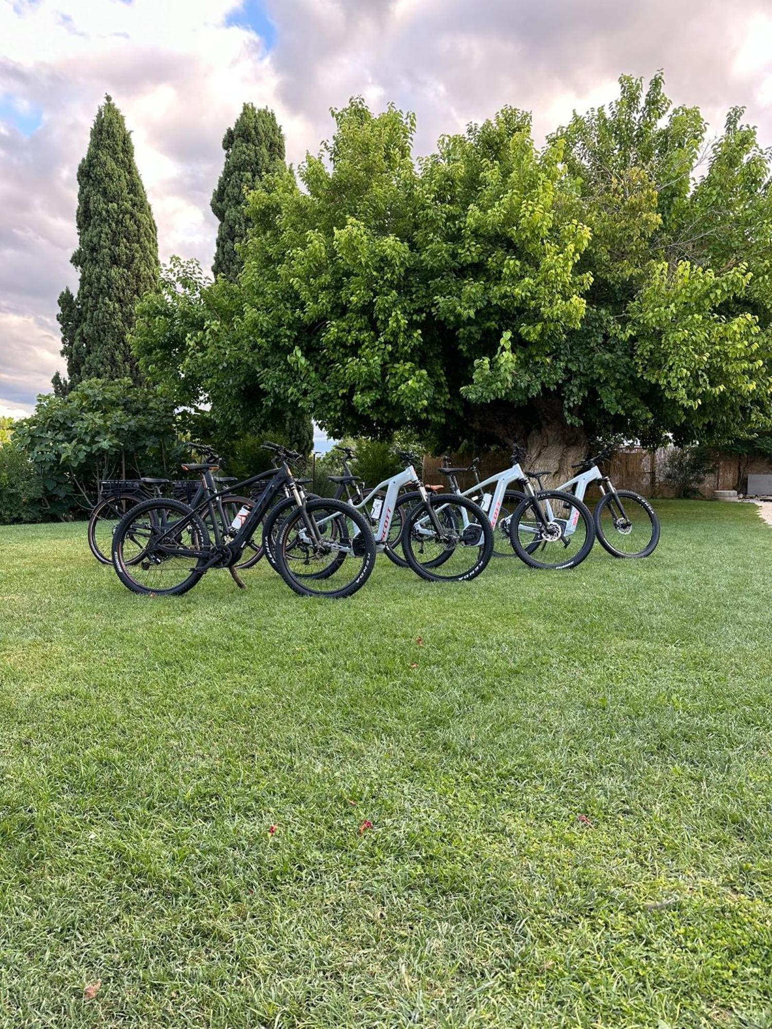 Tenuta Coppa Zuccari Città Sant'Angelo Exterior foto